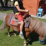 phoca_thumb_m_ponk 69 Fotogalerie